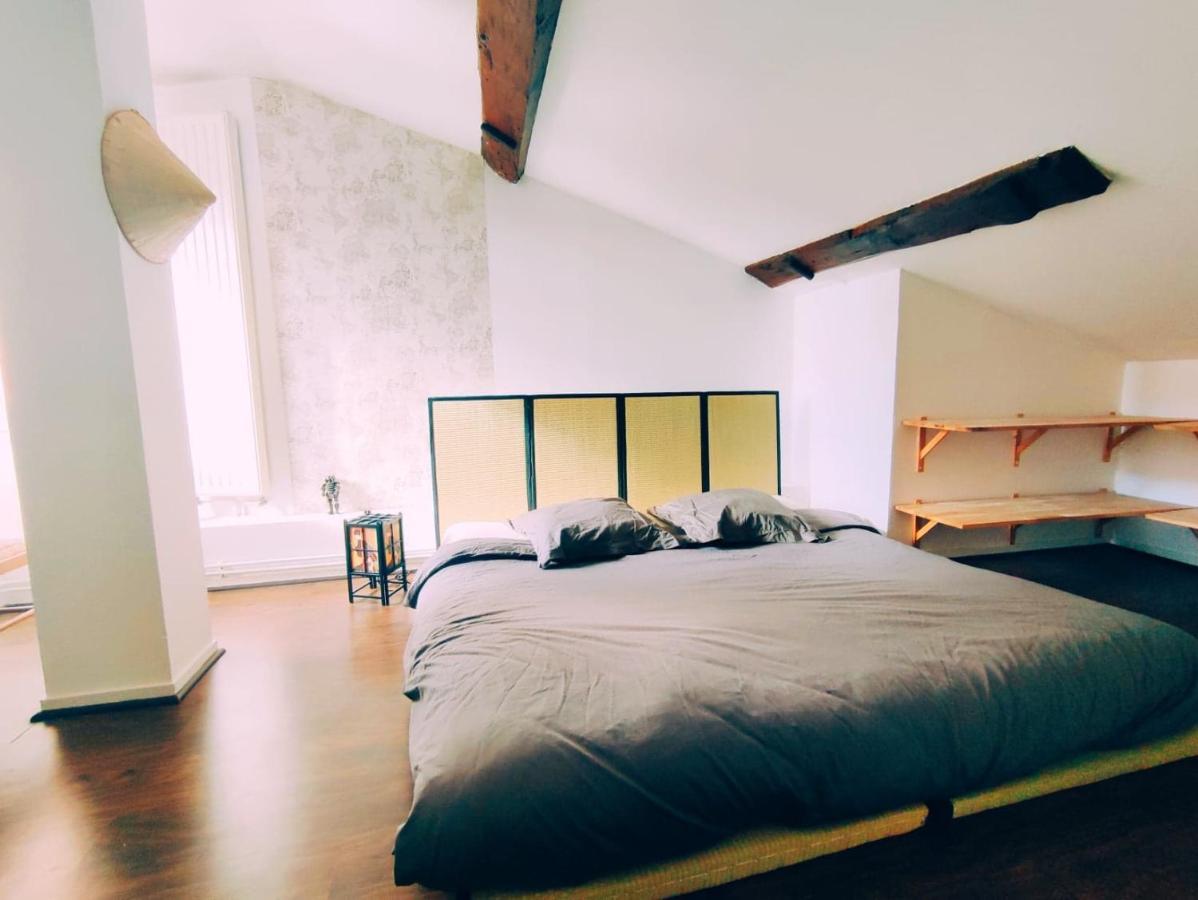 Superbe Appartement Duplex Centre Ville De Макон Экстерьер фото